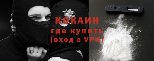 PSILOCYBIN Белокуриха