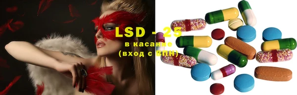 PSILOCYBIN Белокуриха