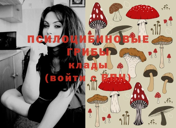 молекула духа Белоозёрский