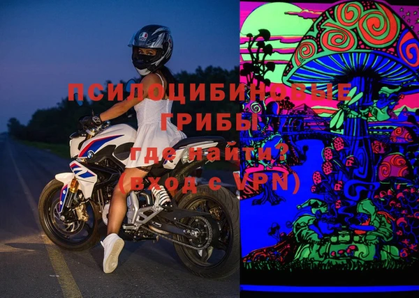 PSILOCYBIN Белокуриха